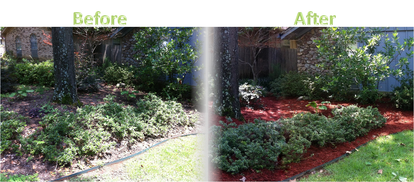 Lawnserve of AR Shrub Trimming and Mulch Before and After