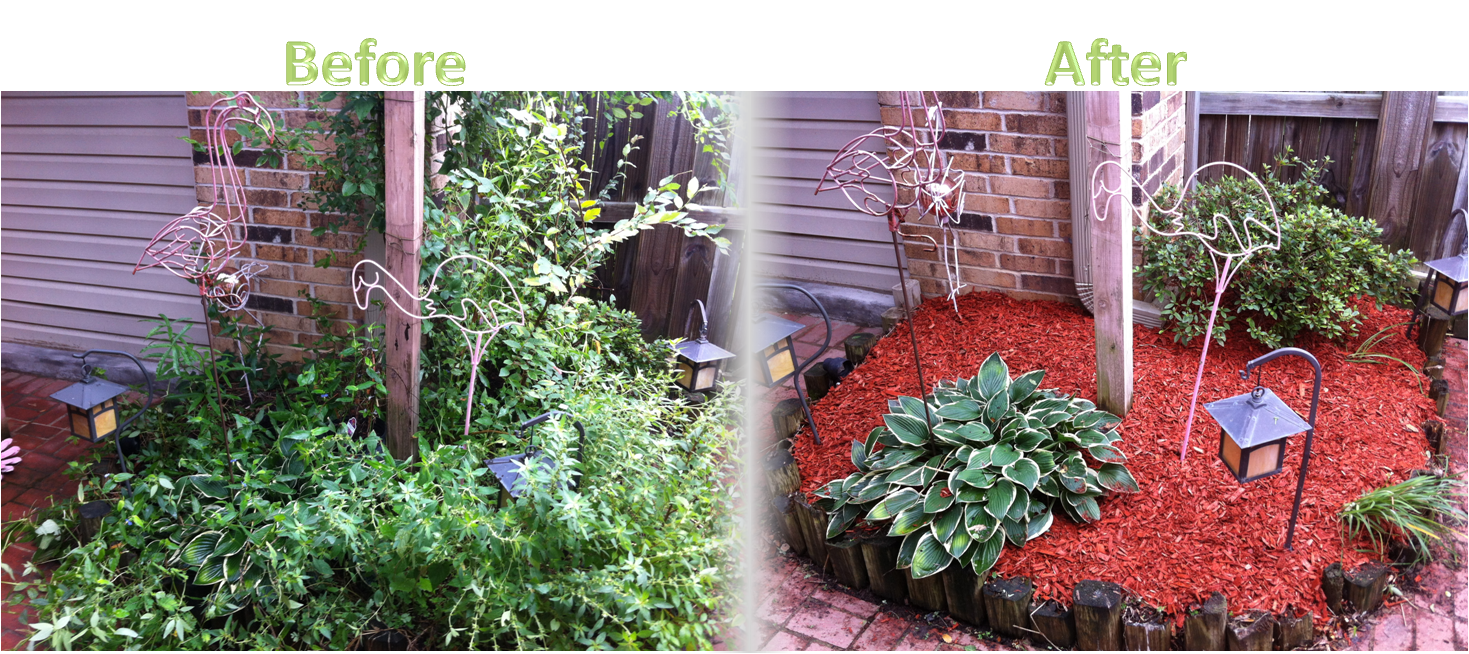 Lawnserve of AR Mulch Before and After